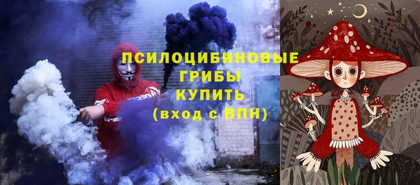 стафф Няндома