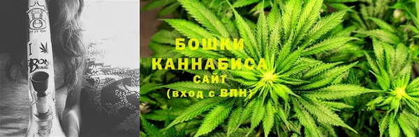дживик Новодвинск
