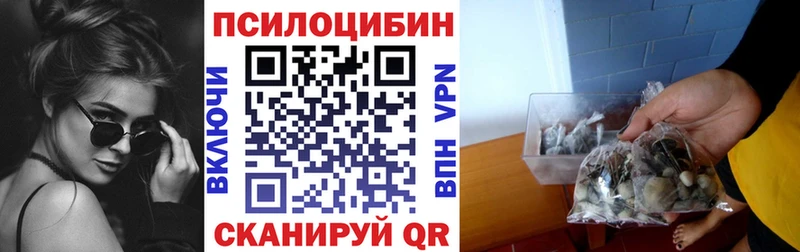 darknet как зайти  Стерлитамак  Галлюциногенные грибы Psilocybe 