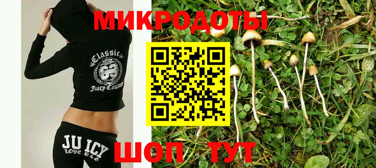 Псилоцибиновые грибы Cubensis  Вход с VPN  Псилоцибиновые грибы Cubensis  Стерлитамак 